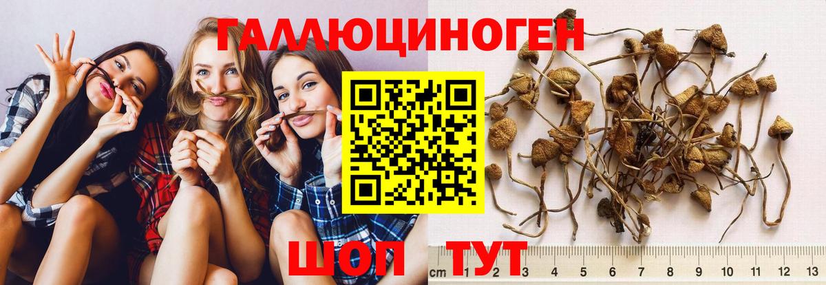 Галлюциногенные грибы мухоморы Новый Уренгой